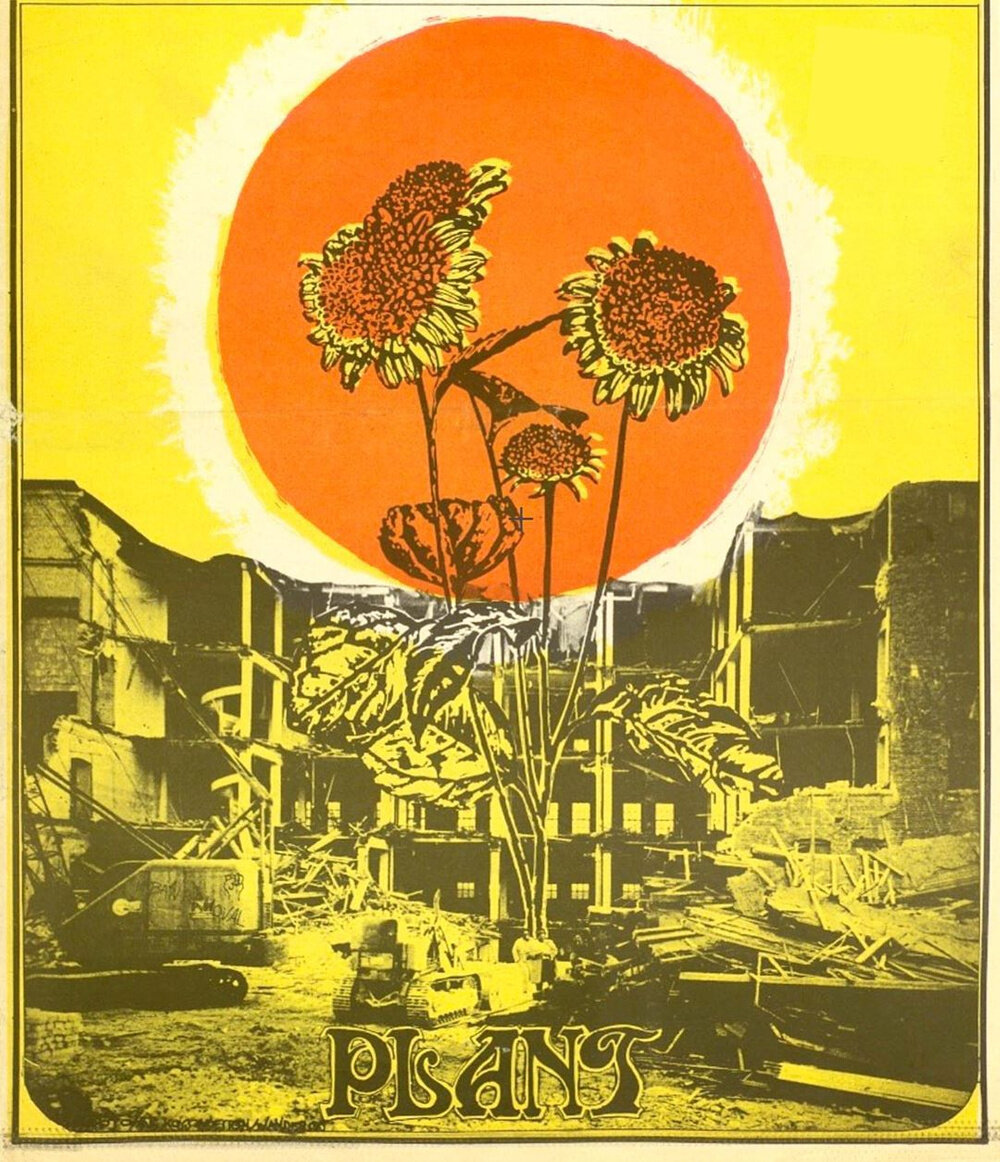 Chicago Seed, June 1969