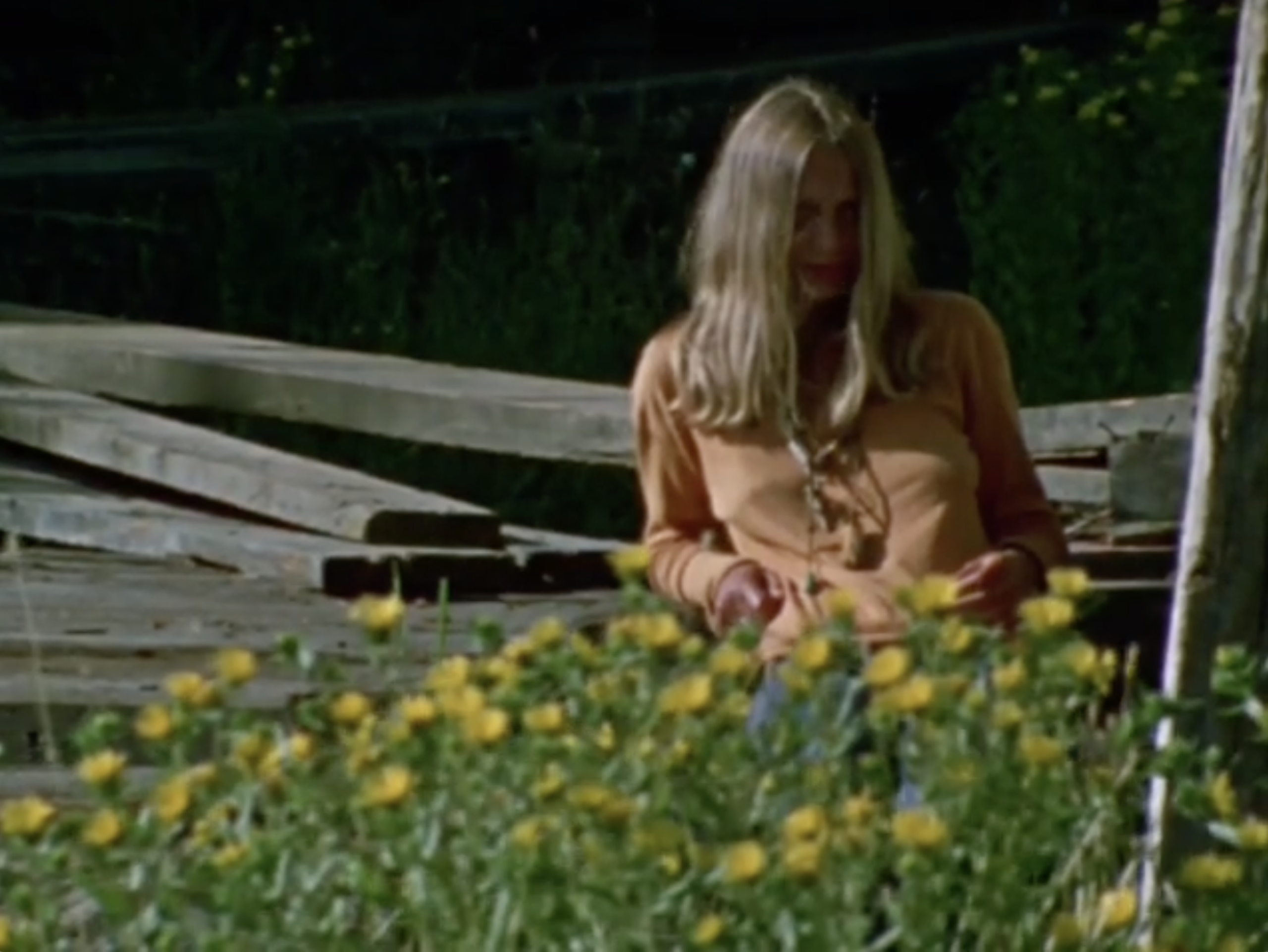 Maplewood Mudflats, 1971