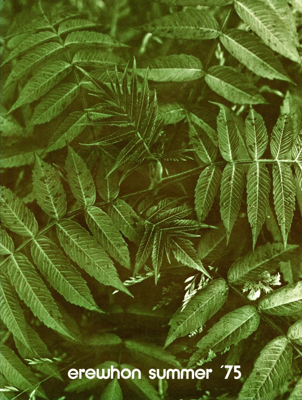 Erewhon, Boston, 1970s