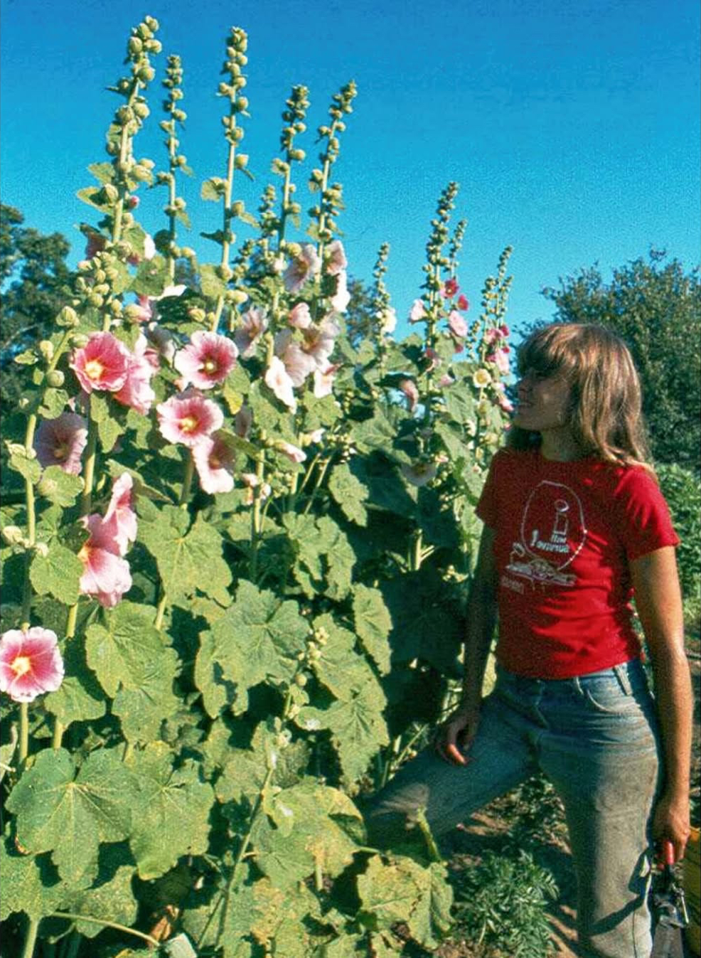 Renaissance Community, 1970s